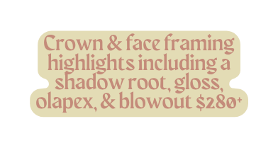 Crown face framing highlights including a shadow root gloss olapex blowout 280